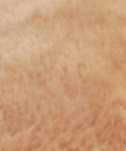 Archsupport.shop00d5862704 4