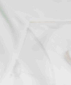 Archsupport.shop04d283a8c1 3