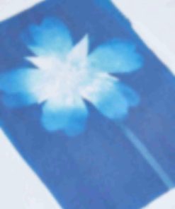 Archsupport.shop0bd5f23bfa 3