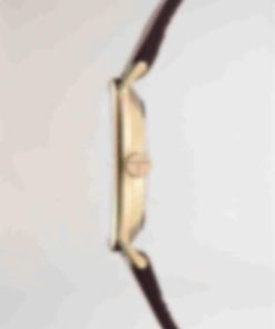 Archsupport.shop4a773e6410 3