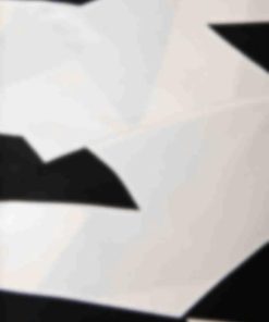 Archsupport.shop50f39790b4 5