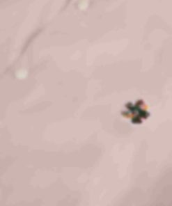 Archsupport.shop5536f1295f 6