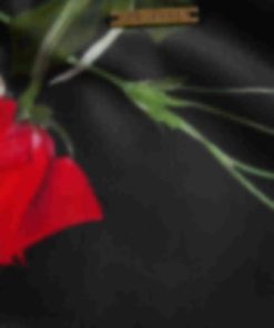 Archsupport.shop65f59060db 3