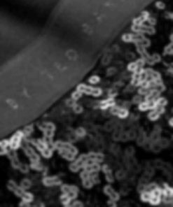 Archsupport.shop6cd49e3843 2