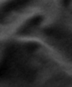 Archsupport.shop6cd49e3843 4