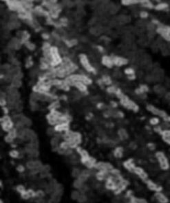 Archsupport.shop6cd49e3843 5