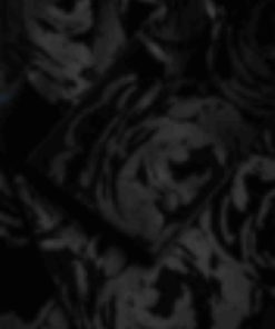 Archsupport.shop74c531f611 3