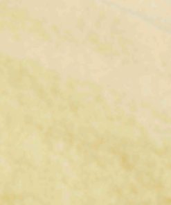 Archsupport.shop8bcb2e6e06 4