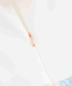 Archsupport.shopbfca1e665c 9