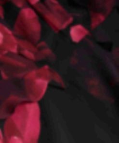 Archsupport.shopcf3d87c5e2 3