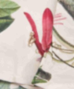 Archsupport.shopdb4366566b 3