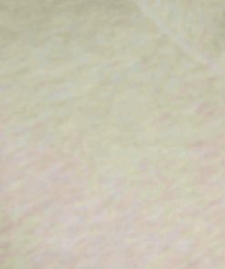 Archsupport.shopf552dec72f 3